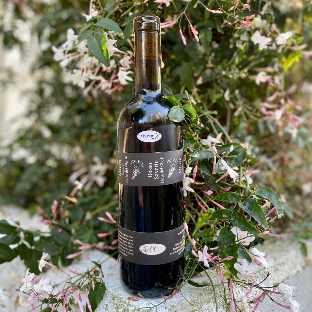 Altura Rosso Saverio Isola del Giglio 2019
