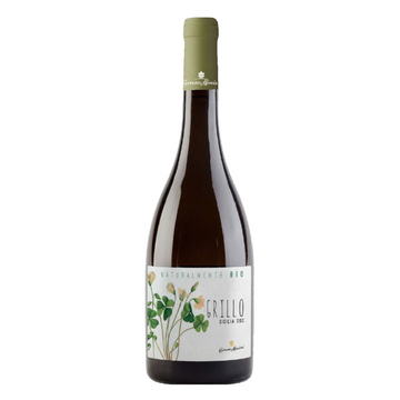 Caruso e Minini Grillo 2023