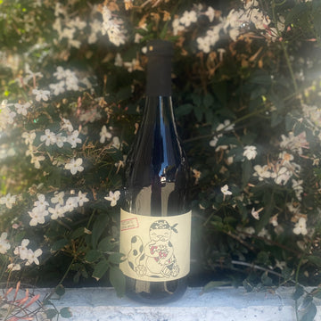 Carolina Gatti Pinpinea Rosato Frizzante 2021
