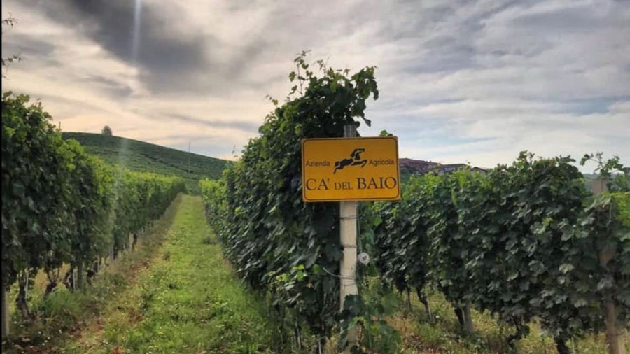 Winemaker Tasting, Wednesday October 30: Federica Grasso of Ca' del Baio (Barbaresco)