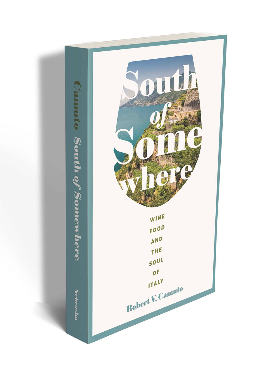 South of Somewhere - Robert Camuto